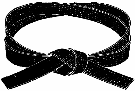 Brown Belt (Sankyu)